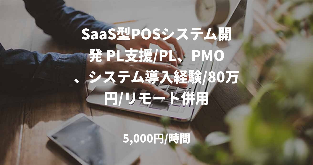 SaaS型POSシステム開発 PL支援/PL、PMO、システム導入経験/80万円/リモート併用