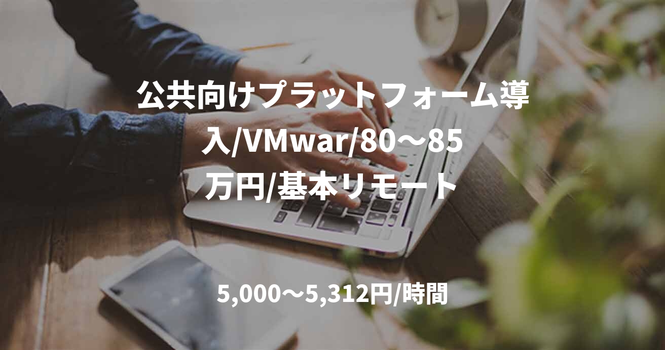 公共向けプラットフォーム導入/VMwar/80～85万円/基本リモート