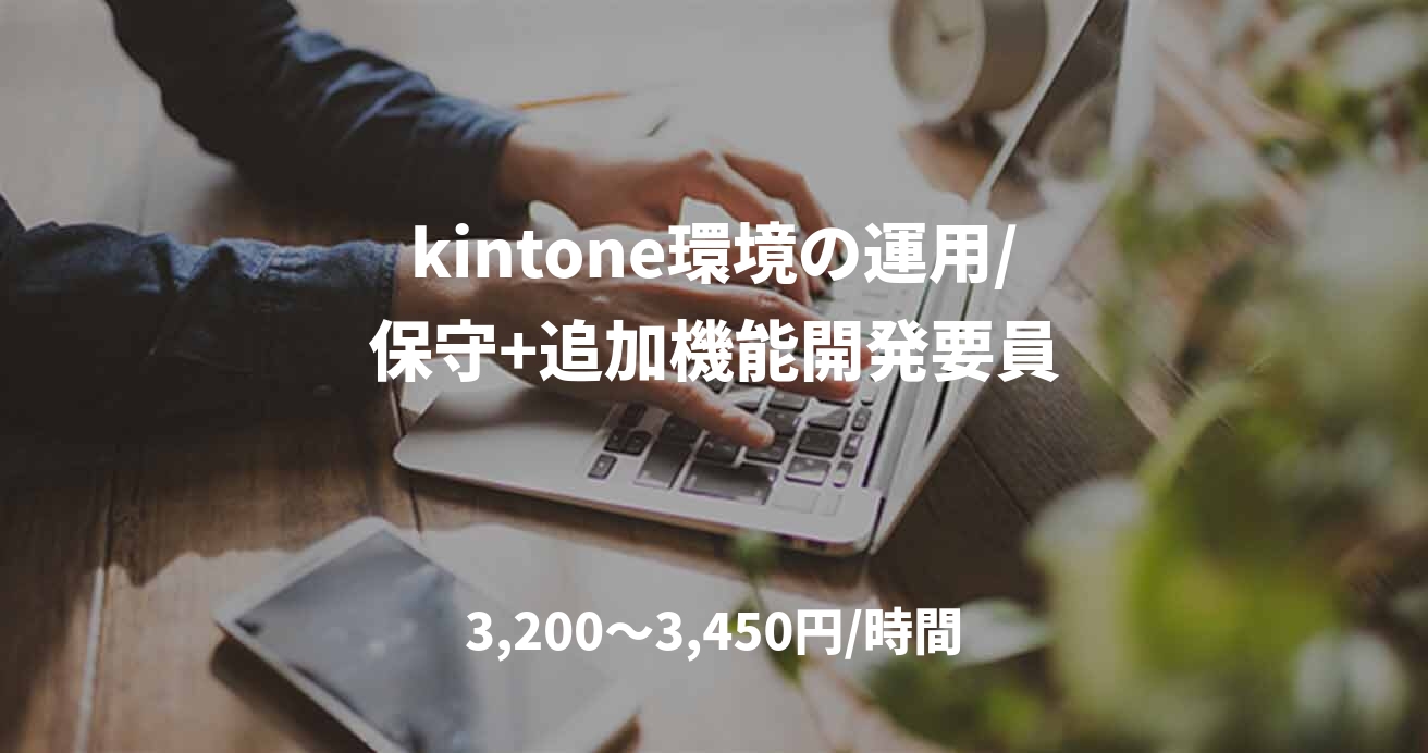kintone環境の運用/保守+追加機能開発要員